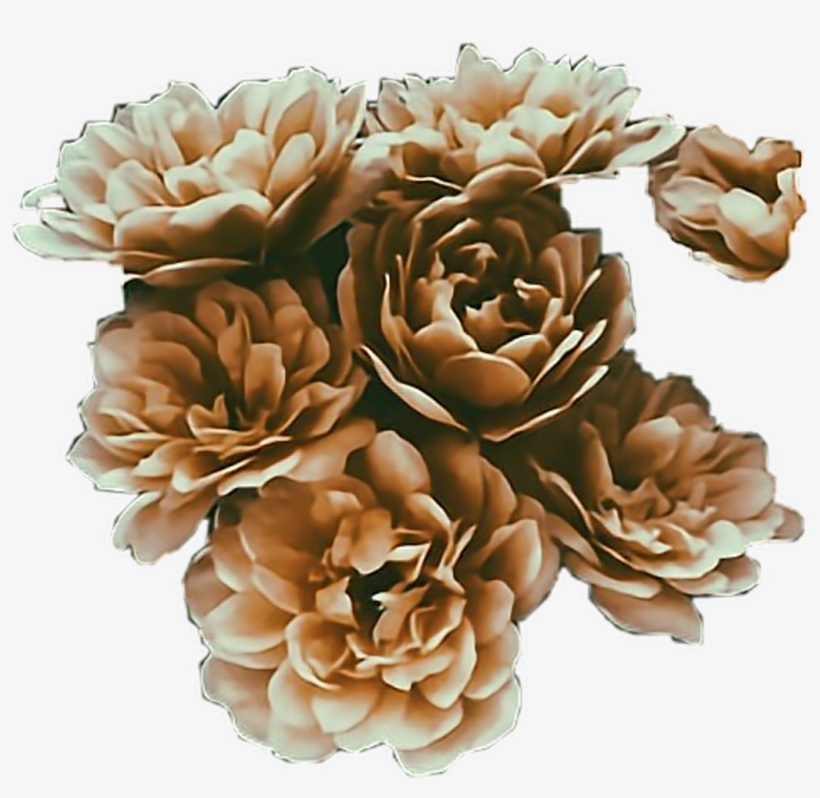 #brown #flowers #aesthetic #stickers #freetoedit - Aesthetic Brown Flowers, transparent png #9833157