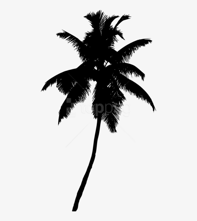 Free Png Palm Tree Silhouette Png - Transparent Palm Tree Silhouette Png, transparent png #9833978