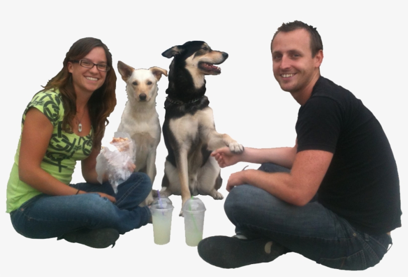 Instant Price Quote - Companion Dog, transparent png #9834489