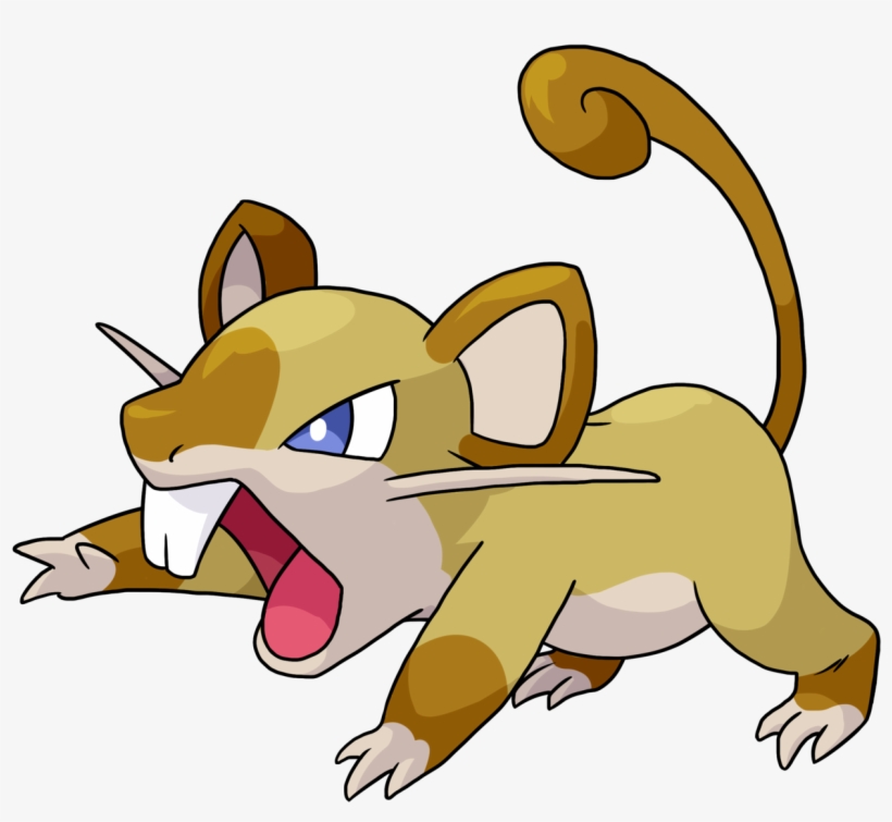 Hold On Tight And Don't Look Back 19-20/807 Variations - Rattata Raticate, transparent png #9836559