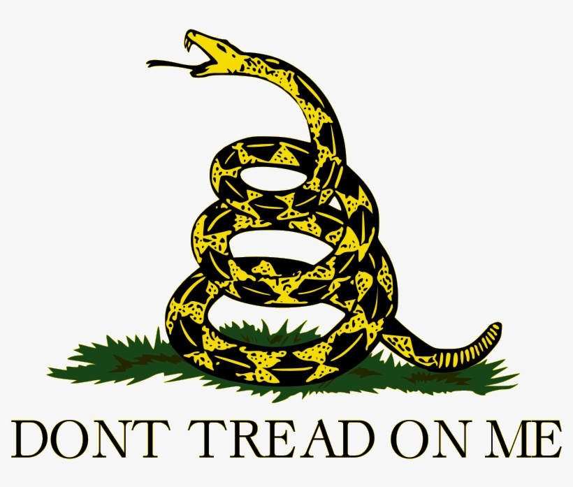 Picture1 - Don T Tread On Me, transparent png #9838094