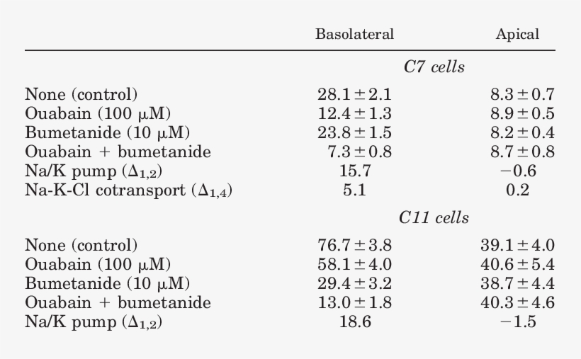 Rates Of 86 Rb Influx Across Basolateral And Apical, transparent png #9838842