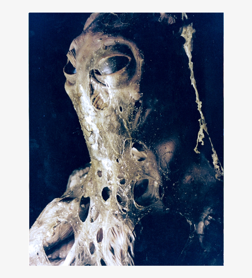 About This Project - Visual Arts, transparent png #9839374