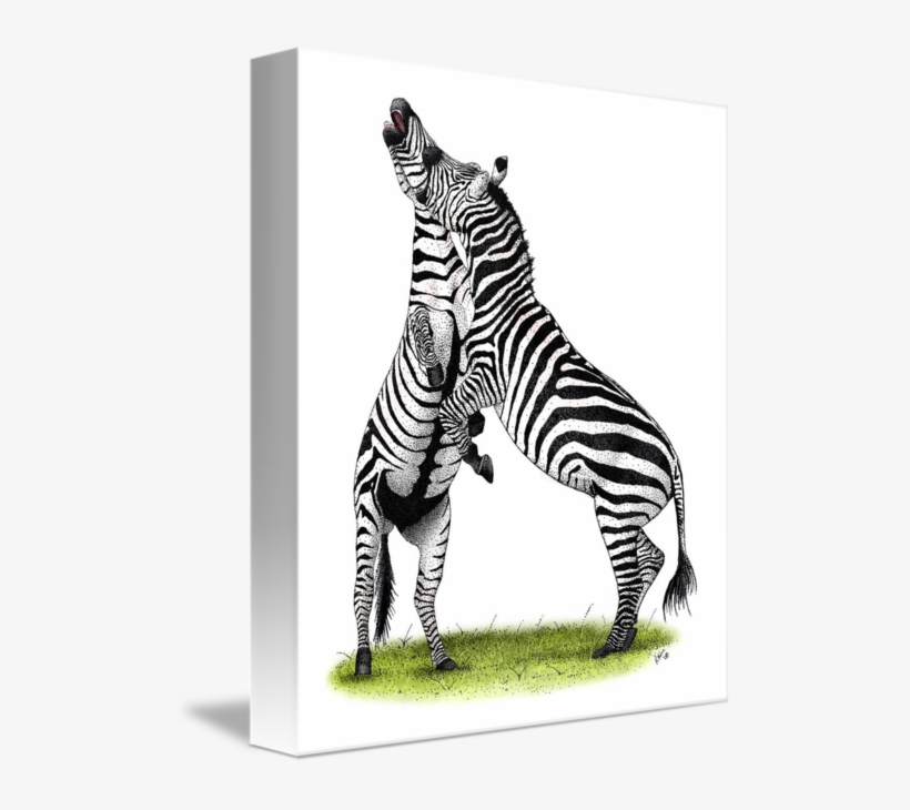 502 X 650 1 - Zebra, transparent png #9839411