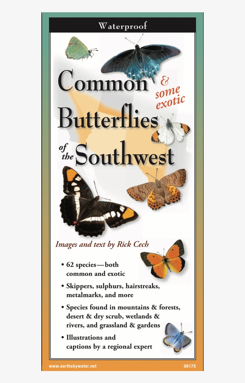 Shopping Cart -  - , transparent png #9839768