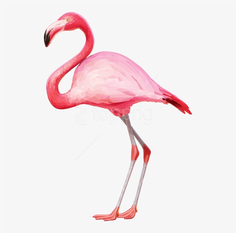 Free Png Download Flamingo Png Images Background Png, transparent png #9839803