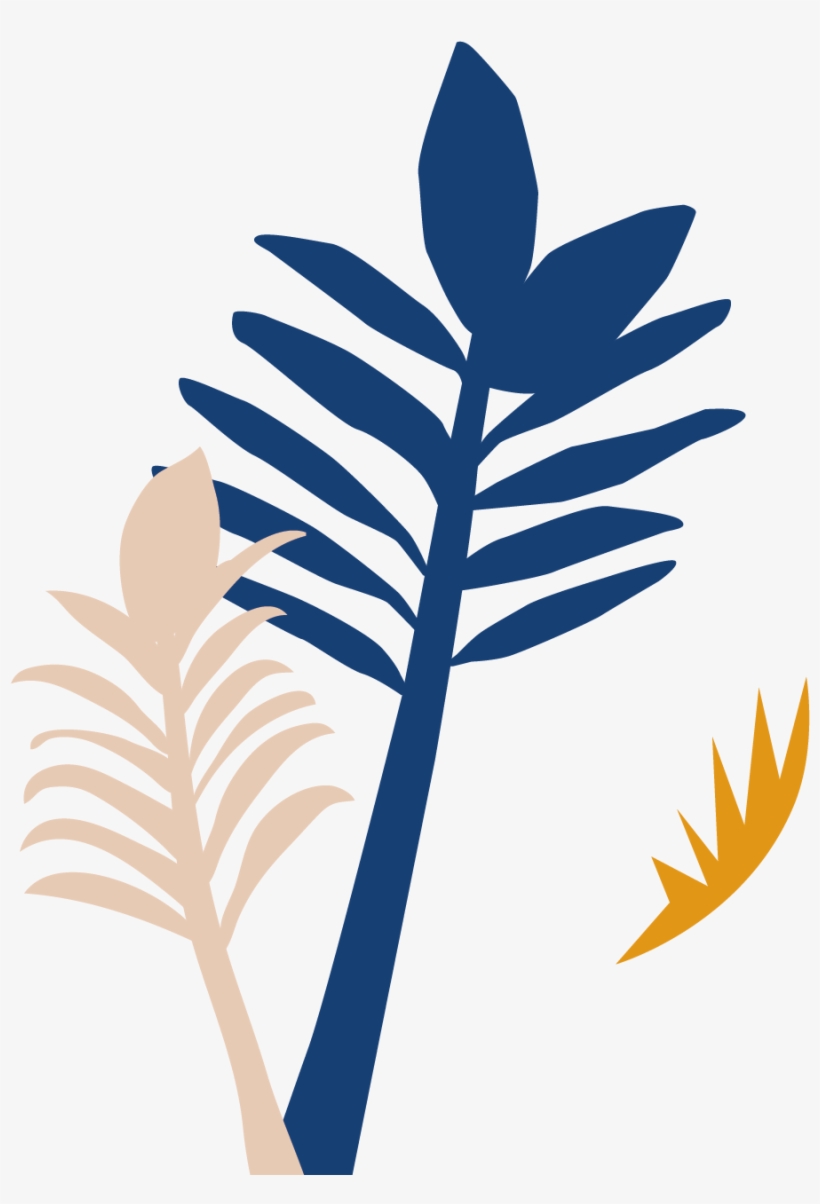 Botanical Name, transparent png #9840459