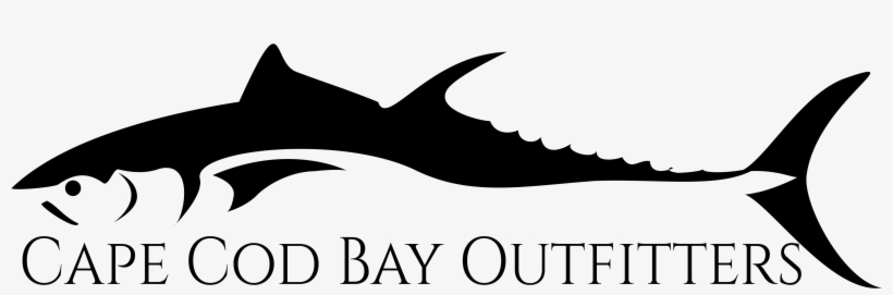 Whale Watch & Cruising Charters - Squaliformes, transparent png #9840637