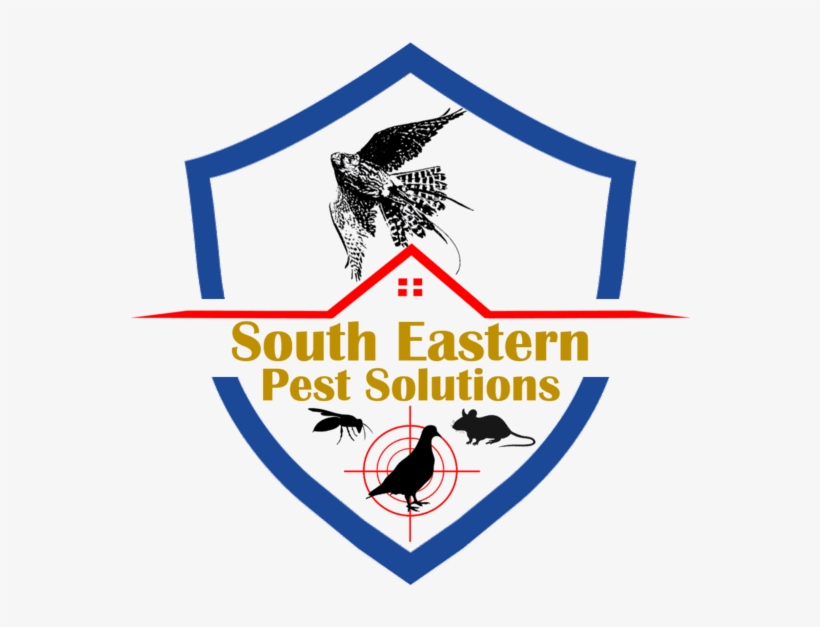 Contact Us - Computers,, transparent png #9840718