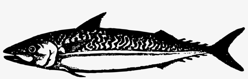 Requiem Sharks Douchegordijn Fauna Dolphin - Illustration, transparent png #9840719