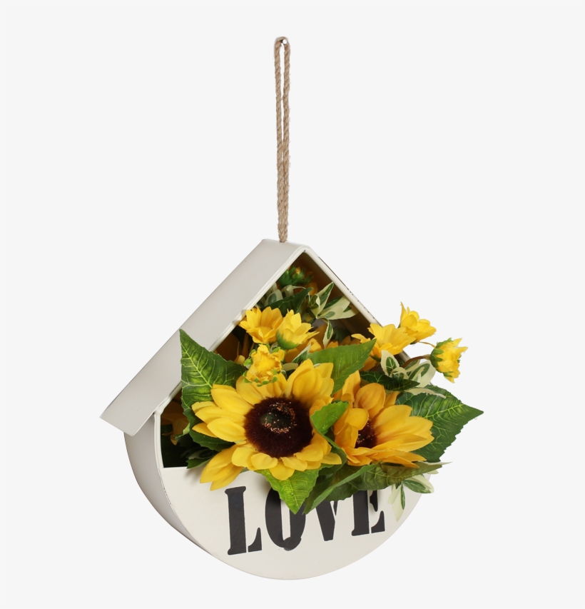 Lightbox Moreview - African Daisy, transparent png #9840949
