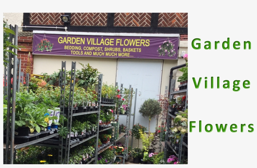 Hatfield Flowers-bedding Plants & Shrubs - Tree, transparent png #9841005