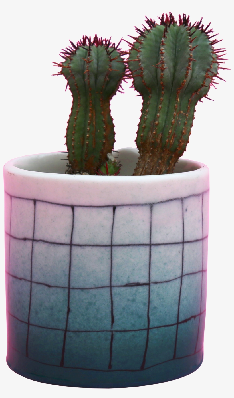 These Porcelain Pots Are Fully Glazed & Hand Built - Flowerpot, transparent png #9843792