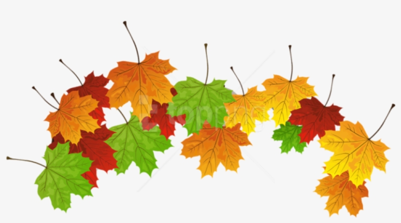 Free Png Download Fall Leaves Clipart Png Photo Png - Leaves Free Clipart, transparent png #9844184