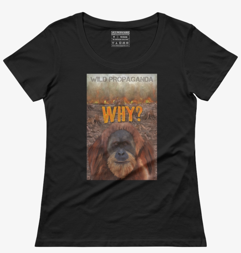 Punxsutawney Phil, transparent png #9846528