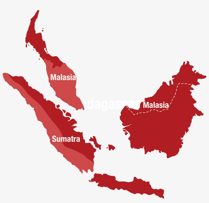 Distribución - Flag Map Of India, transparent png #9846584