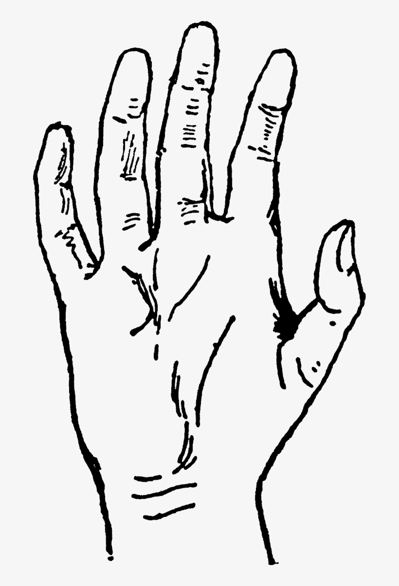 Carolyn Iott On Twitter - Drawing, transparent png #9848335