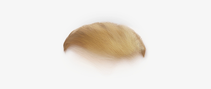 Blond, transparent png #9851681