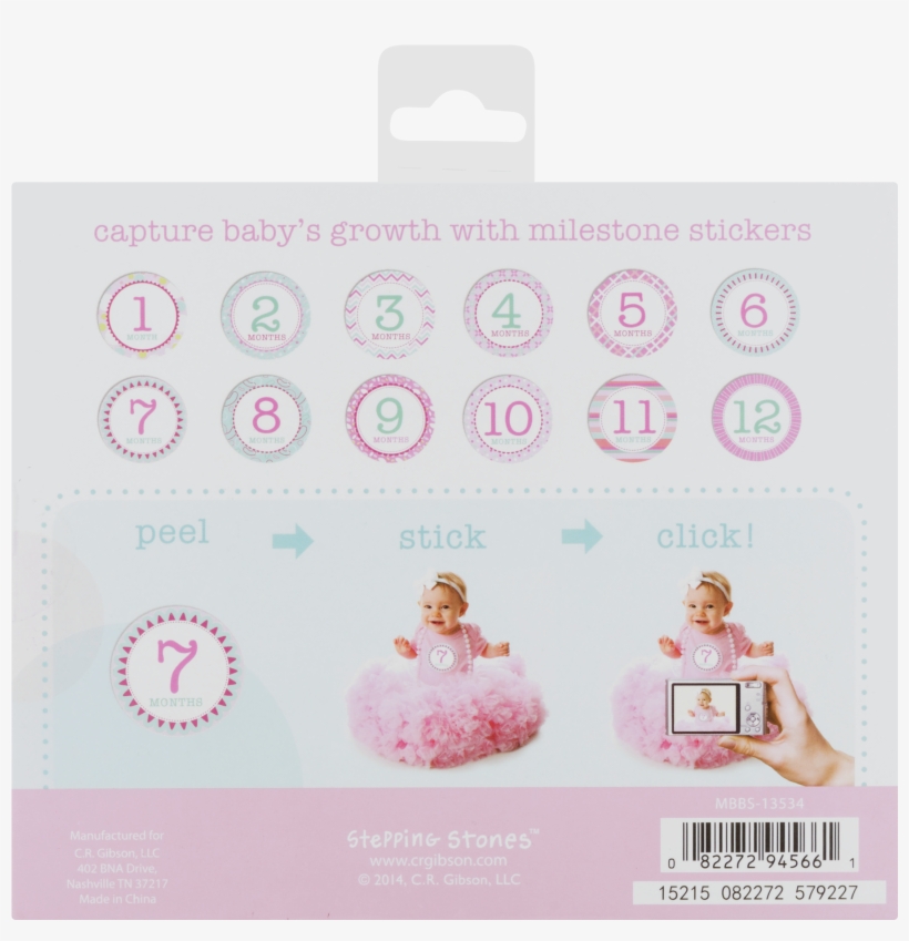 Baby Month Stickers Walmart Resume Stepping Stones - Paper, transparent png #9851912