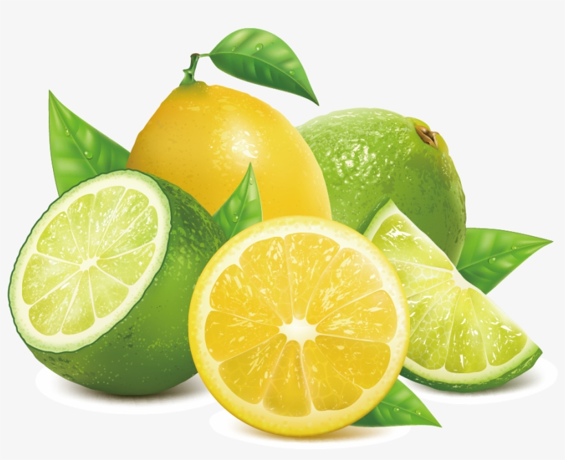 Lemon Key Lime - Lime Vector Png, transparent png #9854254