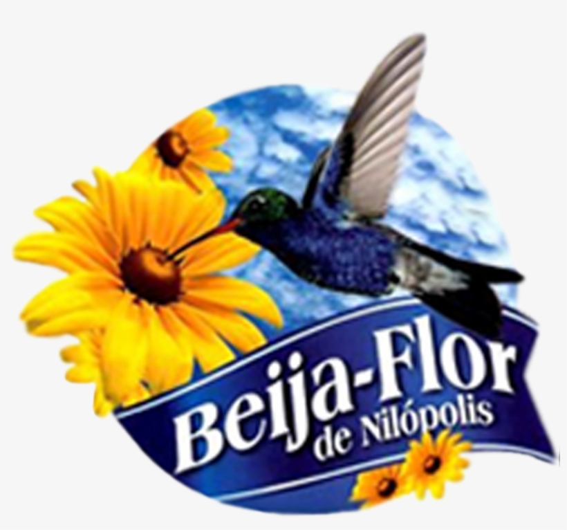 Logo Beija Flor Em Png - Beija Flor, transparent png #9854419