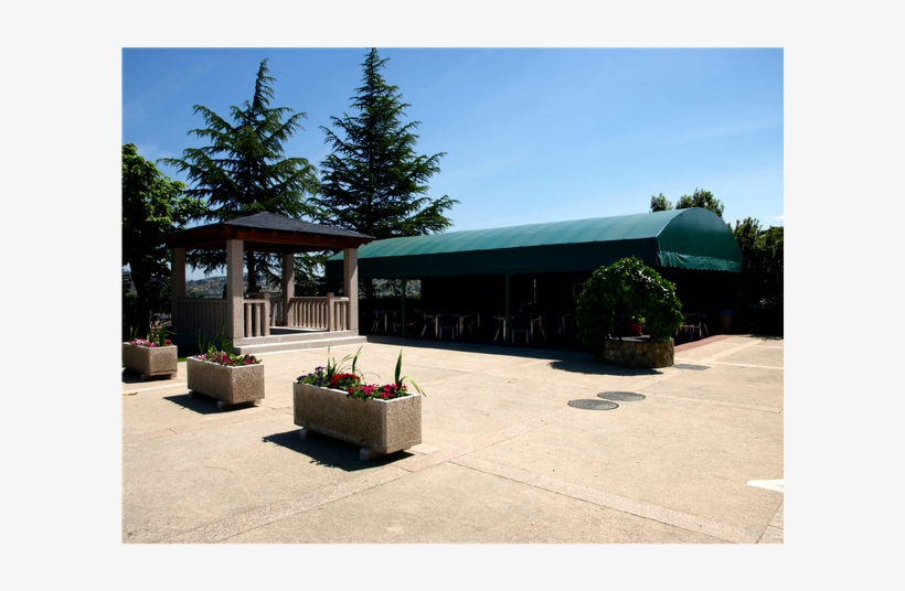 Photo Taken At Restaurante Embajadores By Business - Shortleaf Black Spruce, transparent png #9854817