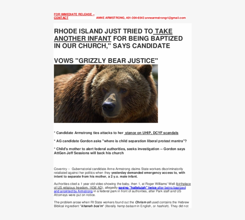 Docx - Grizzly Bear, transparent png #9856863