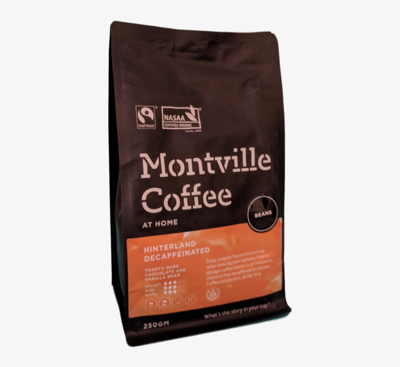 Montville - Kitten, transparent png #9857414
