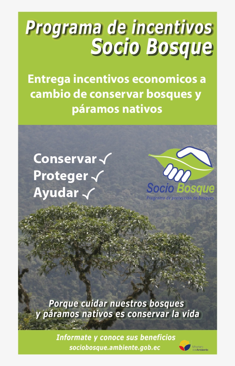 Sin Título-1 - Flyer, transparent png #9859542