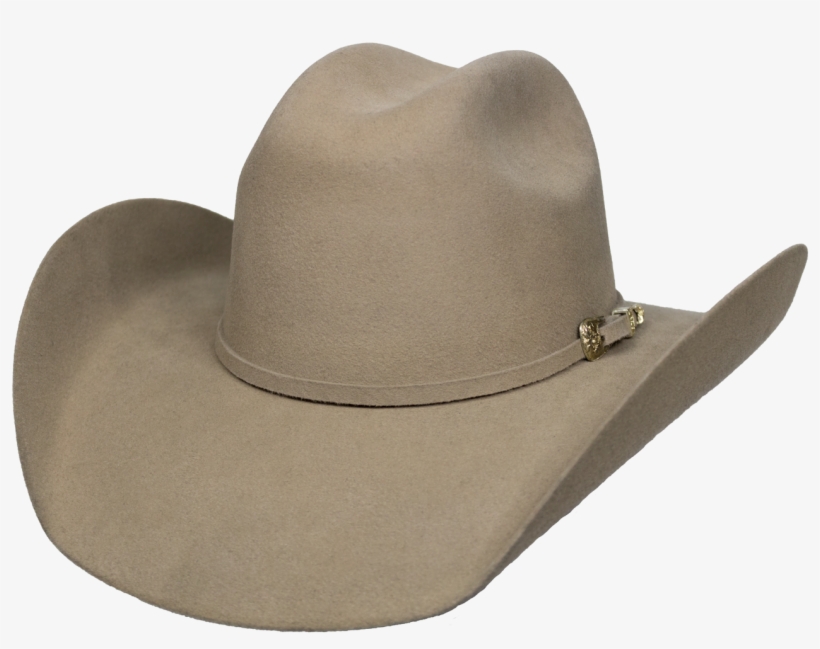 Goldstone Toro Castor - Cowboy Hat, transparent png #9859640