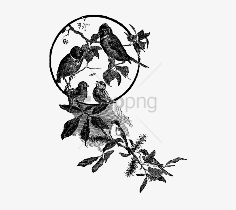 Free Png Flowers And Bird Illustration Png Image With - Bird And Flowers Black, transparent png #9859768