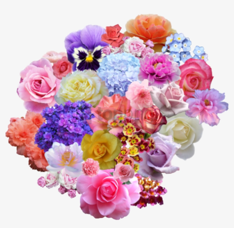 Free Png Download Tumblr Flowers Transparent Png Images - Rose, transparent png #9860086