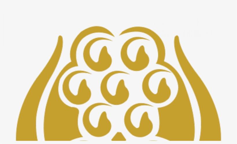 Pakistan's 'cold Response' To Prime Minister Narendra - South Asian Association For Regional Cooperation Logo, transparent png #9863567