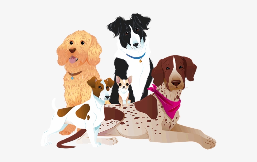 Dogfest Dogs - Treeing Walker Coonhound, transparent png #9863613