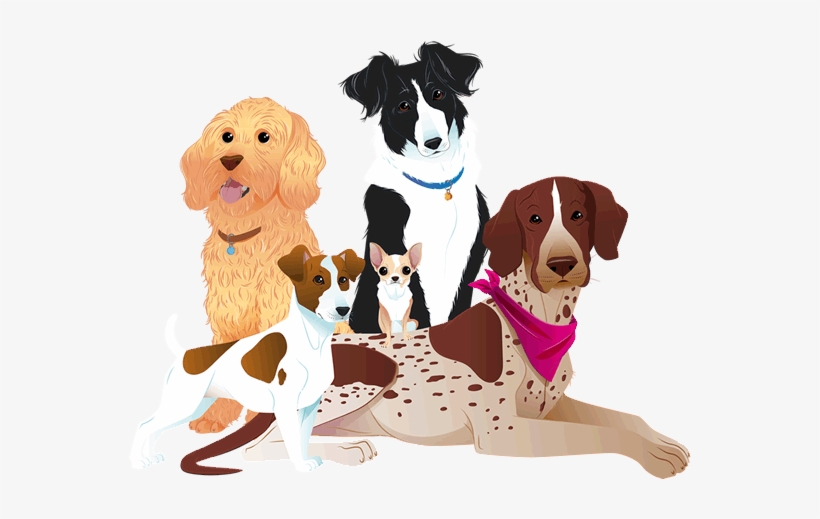Dogfest Dogs - Treeing Walker Coonhound, transparent png #9863613