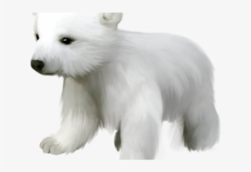 Polar Clipart Cub - Arctic Animals No Background, transparent png #9864038