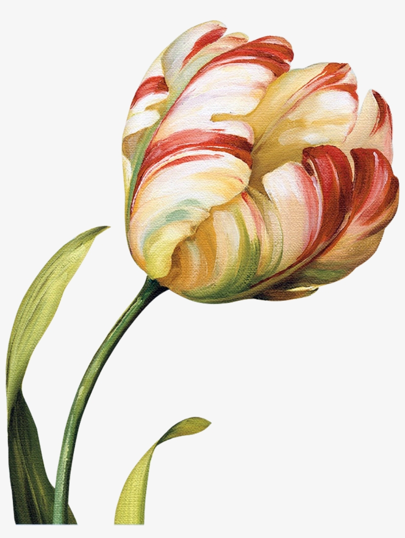Tulips Flowers, Abstract Flowers, Flower Art, Botanical - Золотой Тюльпан, transparent png #9864172