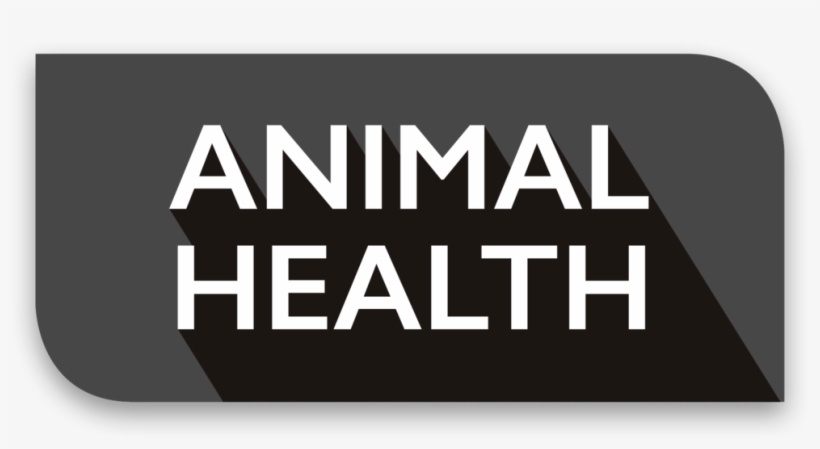 Animal Health, transparent png #9865085