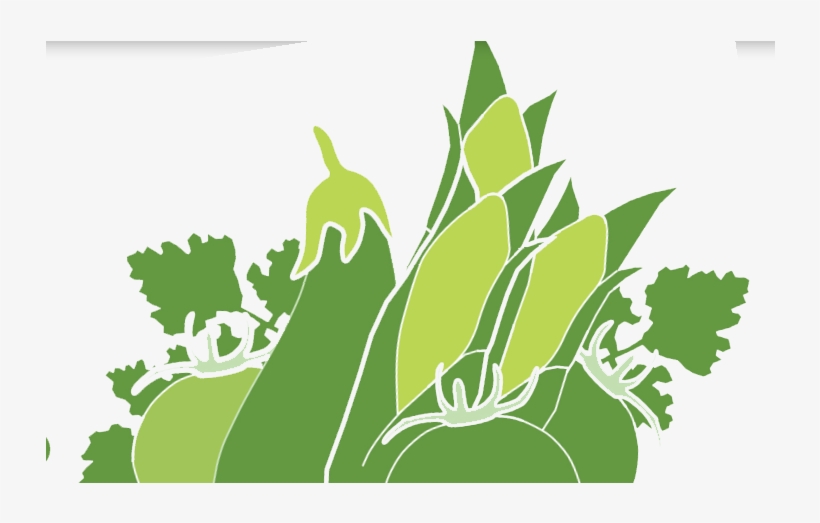 Check Here - Illustration, transparent png #9865215