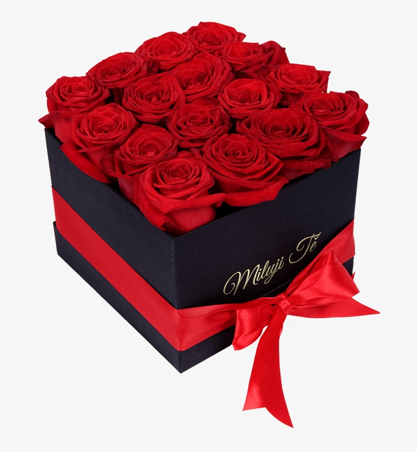 Rosas Para 14 De Febrero, transparent png #9865328