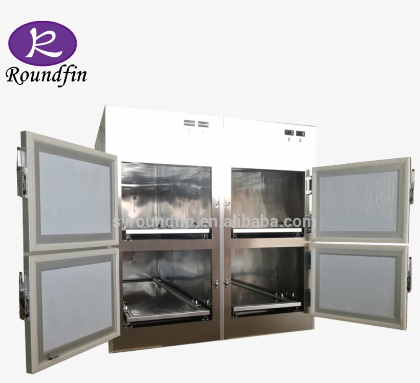 Mortuary Corpse Refrigerator Cabinet Morgue Freezers - Shelf - Free