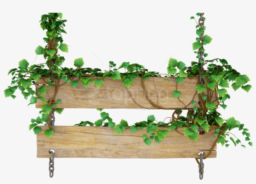 Free Png Wood Png Png Images Transparent - Wooden Sign With Vines, transparent png #9866427