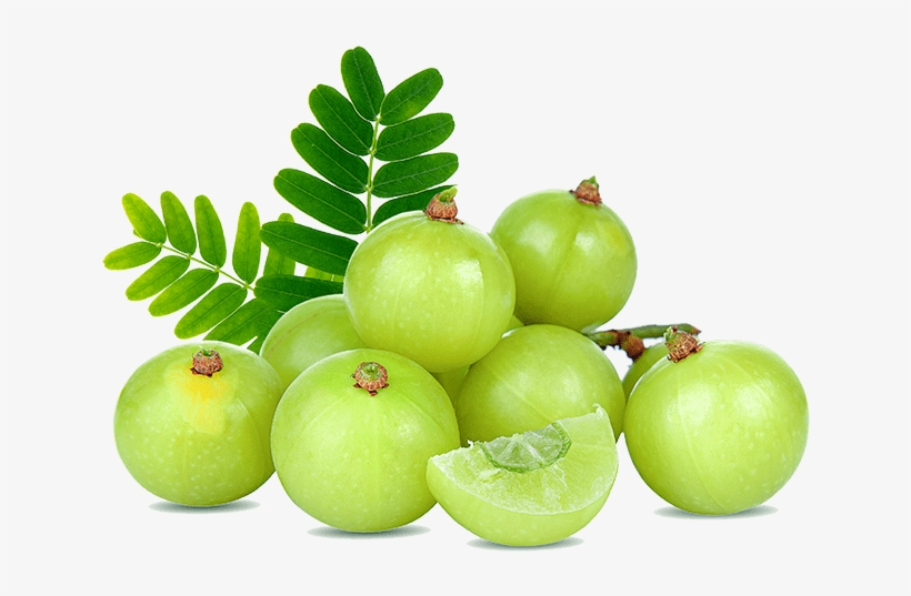Herb- The Kerala Herbal Cuisine Restaurant Is Exclusively - Amla Background, transparent png #9866775