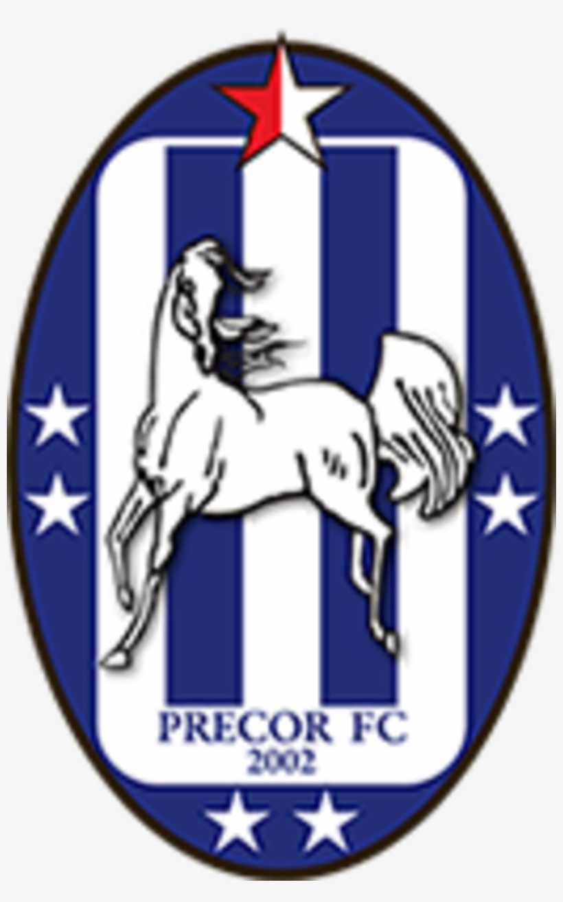 Hidubai Business Precor Fc B2b Services Holding Companies - Rd Congo, transparent png #9867294