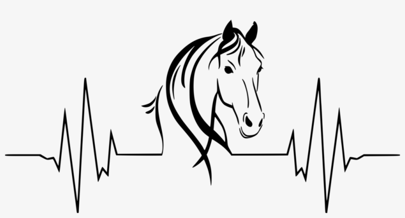 1024 X 504 12 0 - Heartbeat With Horse Head, transparent png #9871108