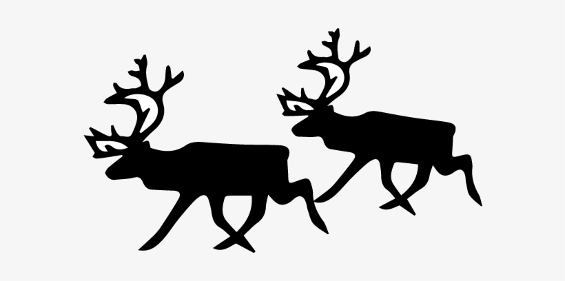 Lapland Activities Reindeer - Black And White Reindeer, transparent png #9871664