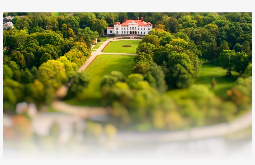 444 - Rokiškio Dvaro Sodybos Parkas, transparent png #9872040