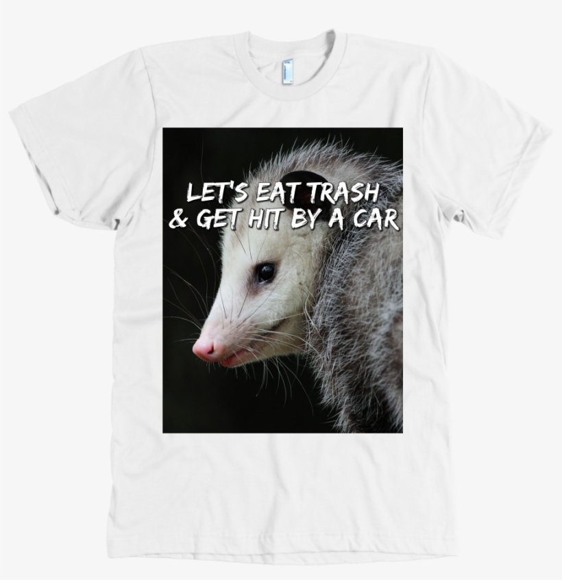 Lgfuapd Opossum - Common Opossum, transparent png #9874689