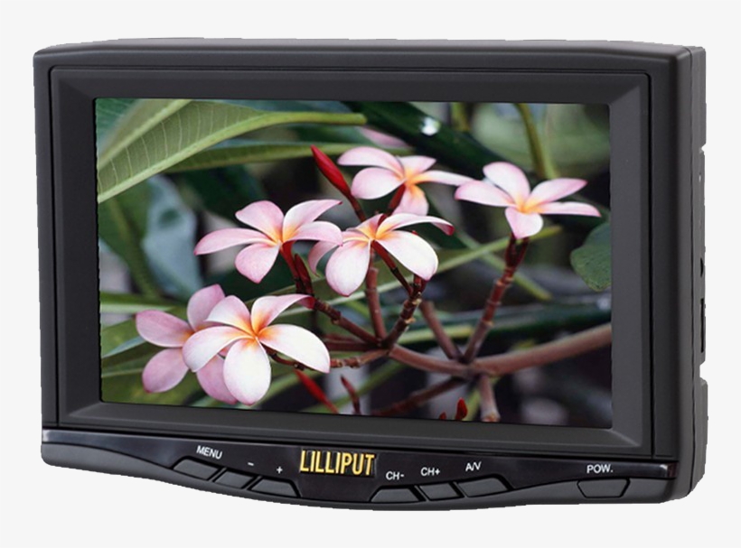 7 Inch Car Monitor Tft Lcd Tv With Av Input - Champey Flower, transparent png #9874732