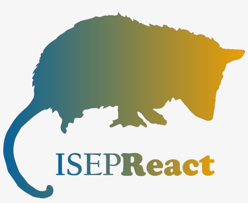 Team Opossum - Love Sophie, transparent png #9874809